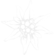Edelweiss Logo der Praxis Angerer